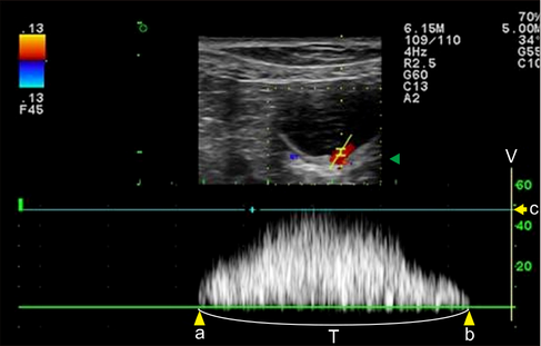 dog ultrasound