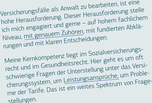 Schwaiger         gestravt          Behördenpfusch          Behördenversagen          RAV-Fehler          Syna-Fehler          Kieser         Schwaiger     gestravt         Behördenversagen          Kieser         Schwaiger