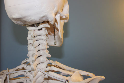 ärztliche Osteopathie bei Nackenschmerzen