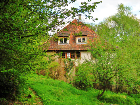 Biohof Bauernhaus am Bodensee