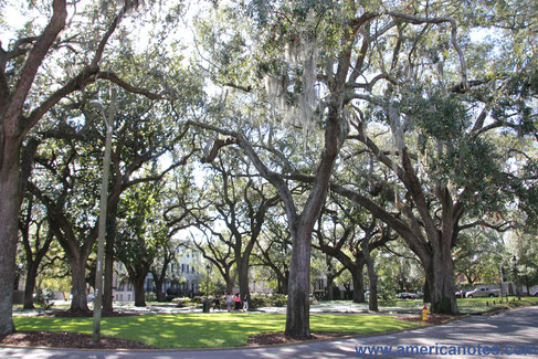 Reisetipps und Geschichten über Georgia: Sehenswürdigkeiten in Savannah