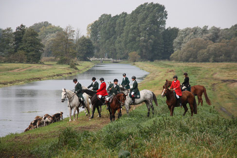 Vanselow 2009