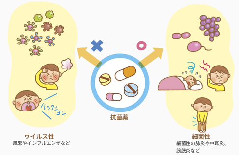 かぜ,抗生物質