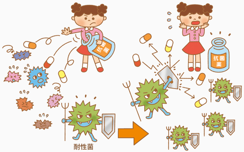 細菌,抗生物質