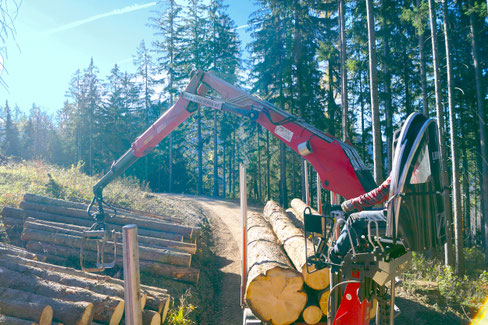 Beladung eines Rundholz LKW per Kran mit Holzstämmen