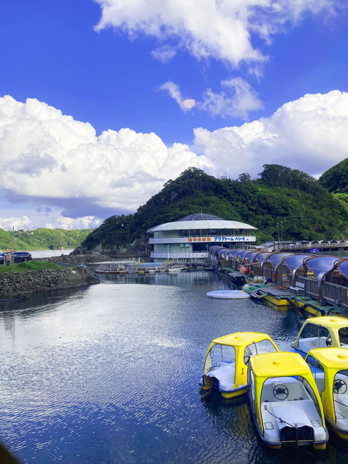 下田海中水族館・景色が夏の様でした