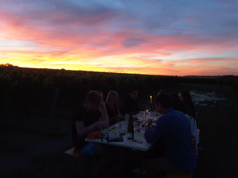 visite-degustation-insolite-nocturne-dans-les-vignes-vignoble-Vouvray-Touraine-Amboise-Tours