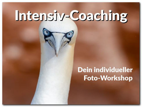 Individuelles Naturfoto-Coaching und Inspiration mit Dirk Godlinski