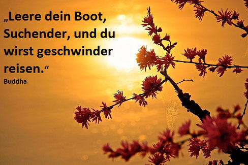 Blühende Zweige beim Sonnenaufgang oder Untergang