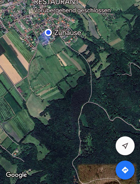 Am Westabfall des Tulbinger Kogels - Der Wienerwald beginnt in dunkelgrün