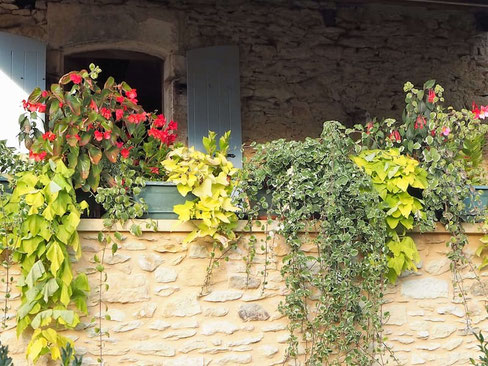 Terrasse ombragée et fleurie de la maison d'hôtes La Lysiane entre Sarlat et Rocamadour.
