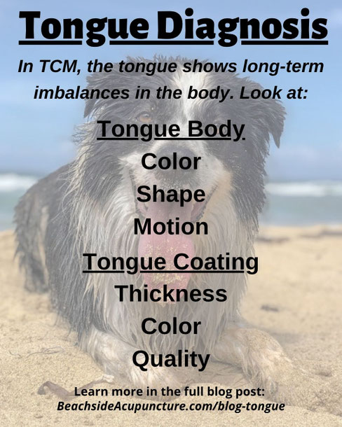Tongue diagnosis on the Beachside Blog
