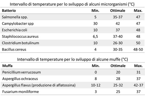 Alimenti e HACCP - Temperature di crescita batteri e muffe