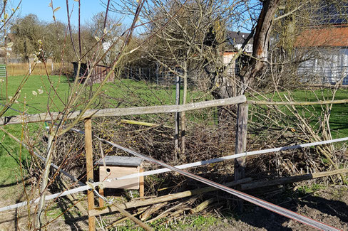 In Rackertshofen steht ein Wiedehopfkasten versteckt auf einer Pferdekoppel, wo es durch das kurze Gras und viele Obstbäume für den Wiedehopf Großinsekten als Beute zu finden gibt. Foto: Peter Wankerl