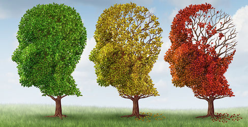 Alzheimer Prävention