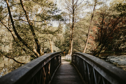 eine alte Holzbrücke führt auf eine kleine Insel auf der schon Constanze auf das Brautpaar wartet