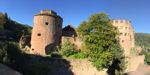 Heidelberger Schloss Ruine