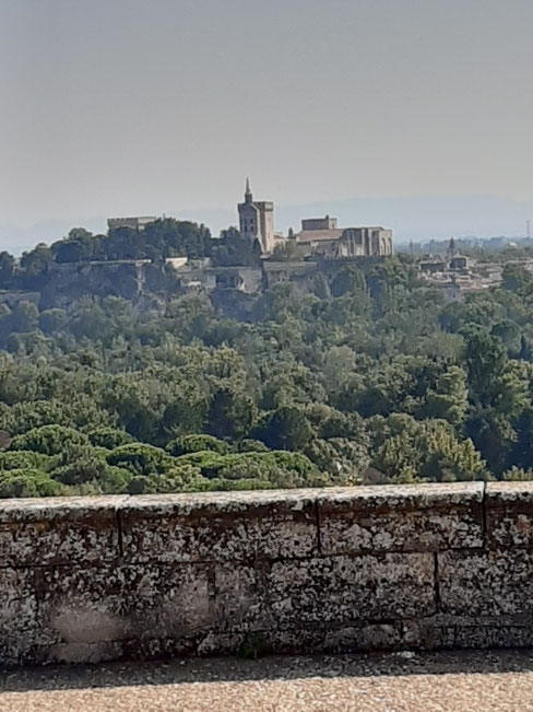 Bild: Les Jardins de l´Abbaye Saint André in Villeneuve-lès-Avignonleneuve-lès-Avignon, hier Blick auf Pastpalast in Avignon