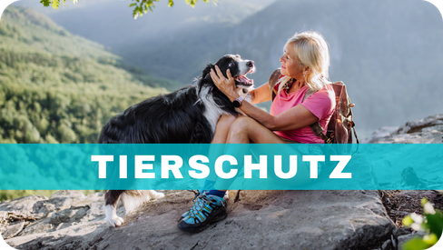 Versicherungen für Tiere, Tier-OP-Versicherung, Tierschutz