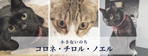 コロネ・チロル・ノエルへのページへのリンク