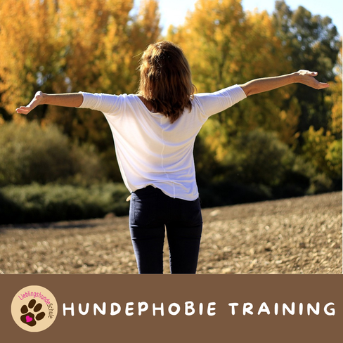 Hundephobie-Training buchen