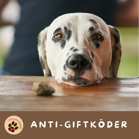 Anti-Giftkoeder-Training buchen