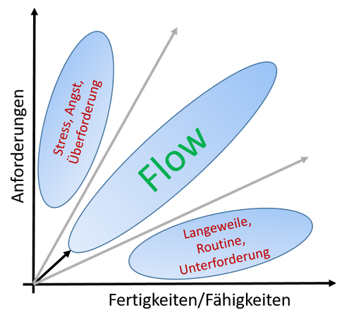 Projektmanagement Flow Kompetenzmodell