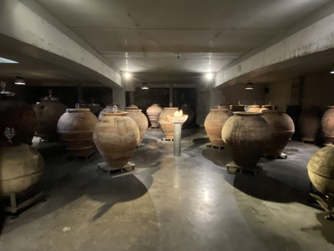 anfore di terracotta per la vinificazione dei vini del Demain de l'Ecu