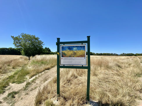 Campo di grano assolato con tabellone indicante un quadro di Vincent Van Gogh ad Auvers sur Oise