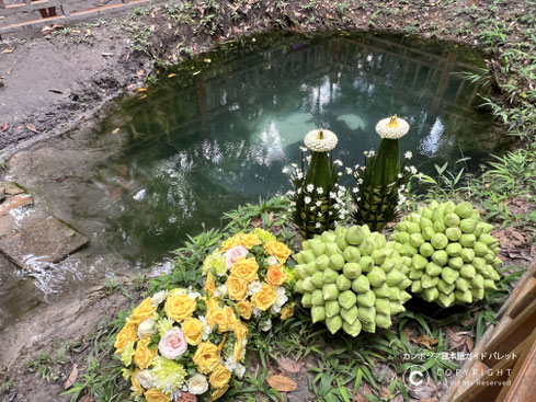 プノンクーレン国立公園の湧水 3