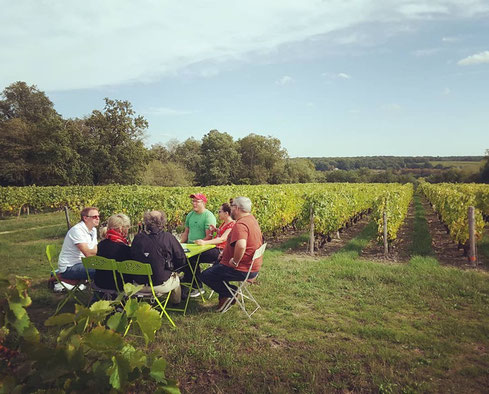 balade-guidee-degustation-dans-le-vignoble-Touraine-Vallee-Loire-Rendez-Vous-dans-les-Vignes