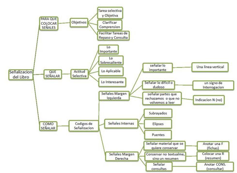 Ejemplo Mapa Conceptual