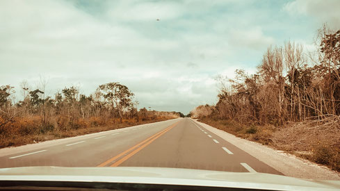 Roadtrip Yucatan