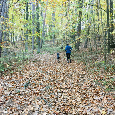 aussensein, Sport und Bewegungstherapie Saskia Hagen, Therapeutisches Outdoor Training, Lauftraining, Coaching