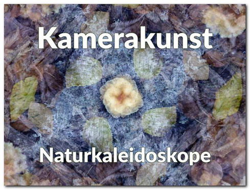 Foto-Workshop Kamerakunst Naturkaleidoskope