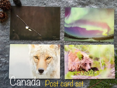 Canada Post Card 　 カナダポストカード