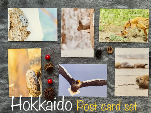 Hokkaido Post Card 　北海道ポストカード