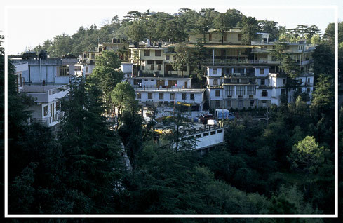 Exilsitz-Dharamsala-Himachal-Pradesh-Indien-F697