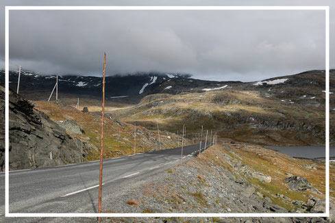 Sognefjell-Norwegen-C274