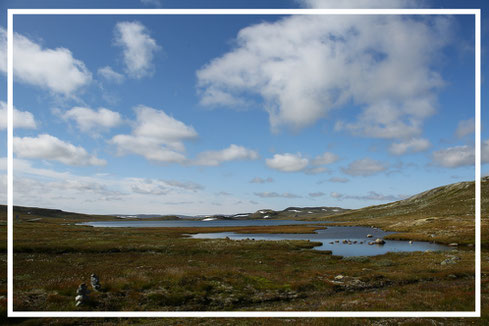 Hardangervidda-Wanderung-Norwegen-C266