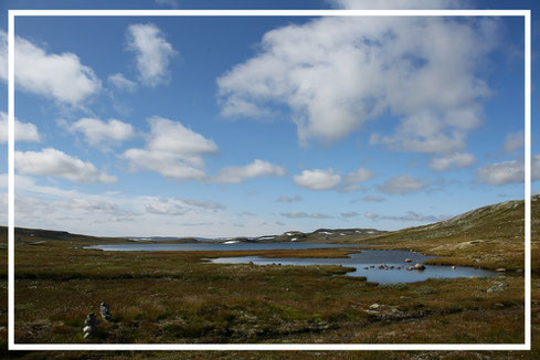 Hardangervidda-Wanderung-Norwegen-C266