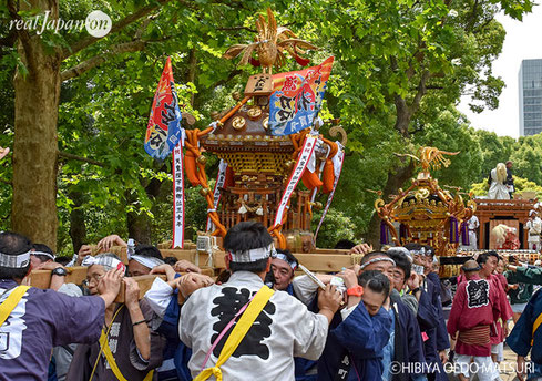 日比谷大江戸まつり2019, お祭りパレード, 神輿渡御, 参加できます