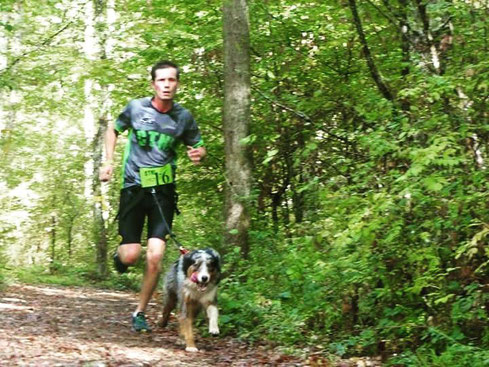 Canicross, course à pied, chien, berger australien