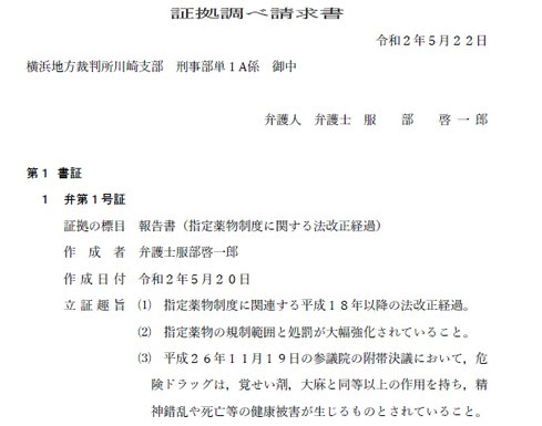 弁論要旨