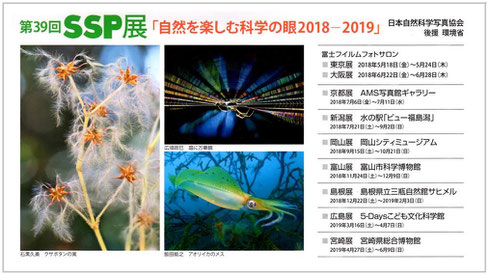 2018-2019 第39回SSP展DMハガキ