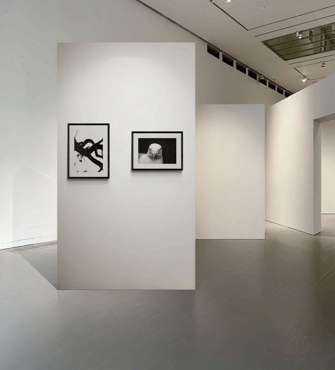 galerie-en-ligne-photo-nature-noir-et-blanc