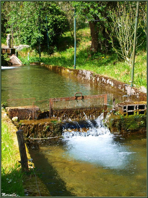 Petite écluse et un des ruisseaux à la Pisciculture des Sources à Laruns, Vallée d'Ossau (64) 