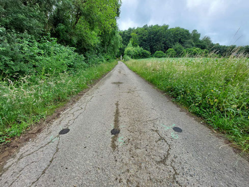 Die Ermittlung der Asphaltdicke nach der herkömmlichen Bohrkernmethode ist ein zerstörendes, zeit- und kostenaufwendiges und auch ungenaues Verfahren. 06.2025