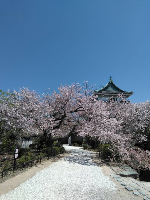 Wakayama castle by Azumi Uchitani