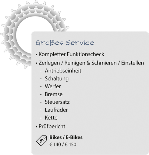 Großes-Service für Fahrrad